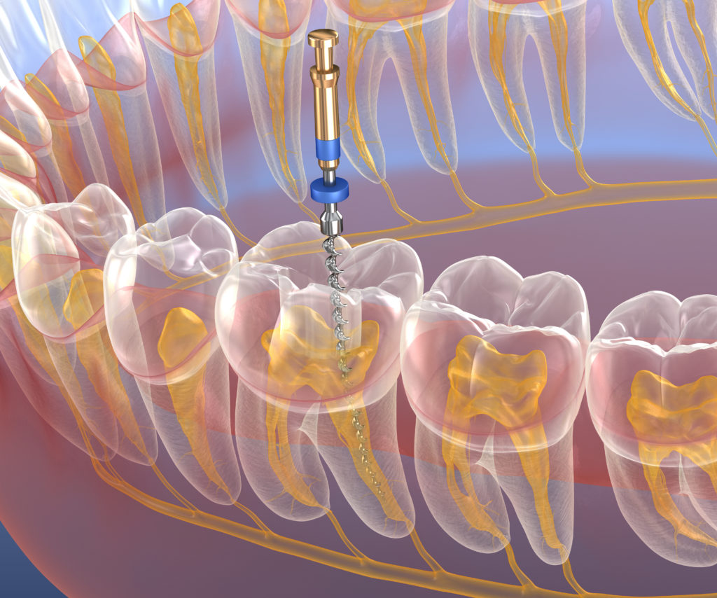 Dentista